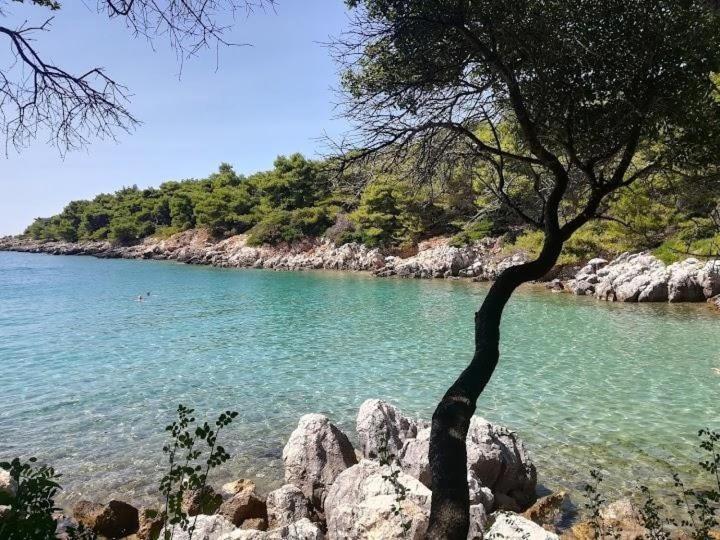Apartments Nada Mundanije Dış mekan fotoğraf
