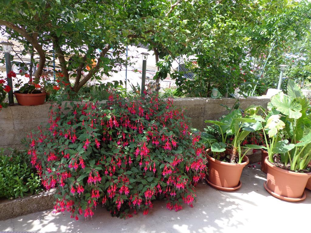 Apartments Nada Mundanije Dış mekan fotoğraf
